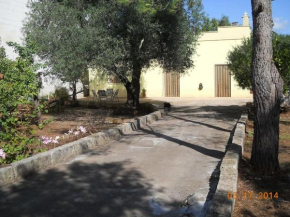 Villa Conte 2 case indipendente in Salento Francavilla Fontana